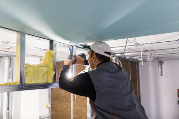 Best Fiberglass Insulation in Arial, SC