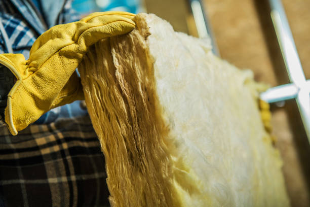 Professional Insulation Contractor in Arial, SC