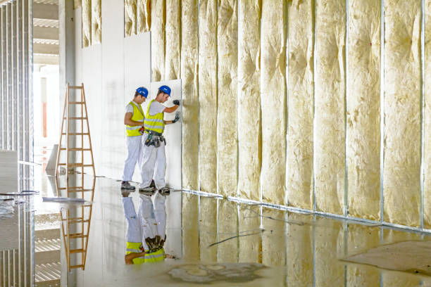 Best Geographic-Specific Insulation Services in Arial, SC